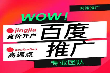 百度竞价排名案例：如何实现精准营销